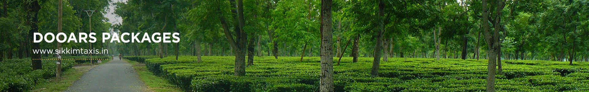 dooars Tours