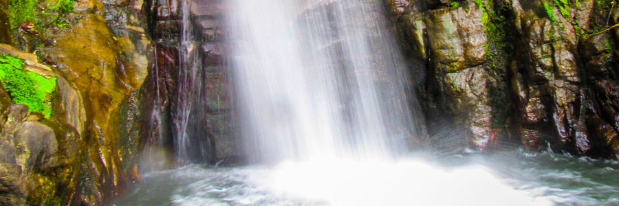 Taxi Service In Gangtok